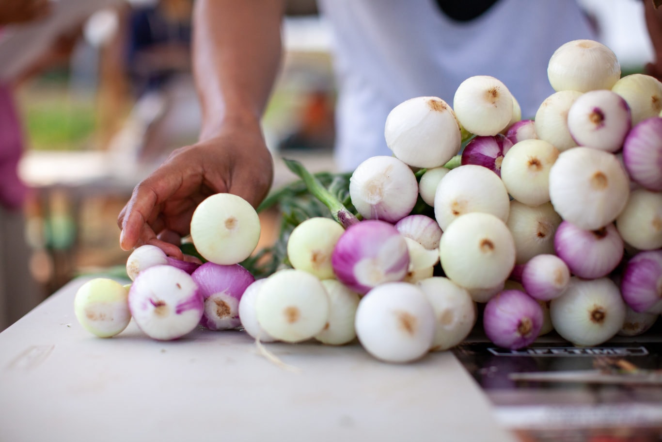 A farmer from the Karen Community holds freshly harvested onions, symbolizing the nourishing power of culturally relevant food. Food that feels like home not only nourishes the body but also connects communities to their roots and provides comfort during times of need.